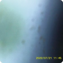 Water & Feed Testing