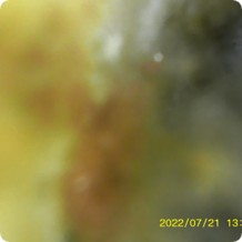 Expert Team Consulting