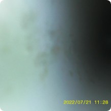 Expert Team Consulting