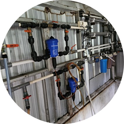 Biosecurity Services